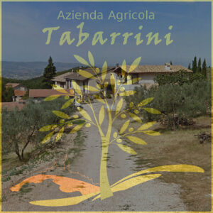 Azienda-Agricola-Tabarrini-landscape